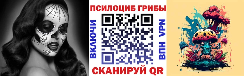 Галлюциногенные грибы Cubensis  дарнет шоп  Устюжна 